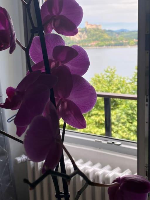Babalu Con Vista Lago Arona Ngoại thất bức ảnh
